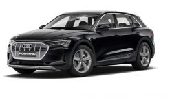 AUDI Q8 E-TRON ELETTRICA