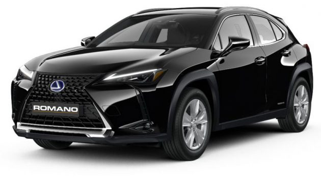 Foto Lexus UX Noleggio Lungo Termine